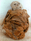 Chachapoyan Mummy - © Keith Muscutt